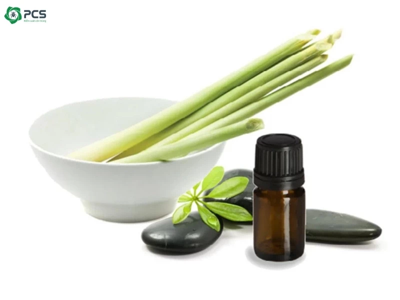 tinh dầu đuổi gián 
